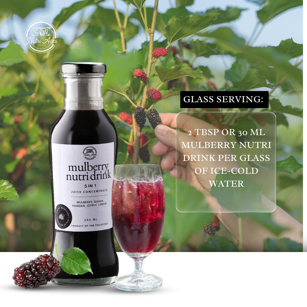 Mulberry Nutri-Drink 5 in 1 Juice Concentrate