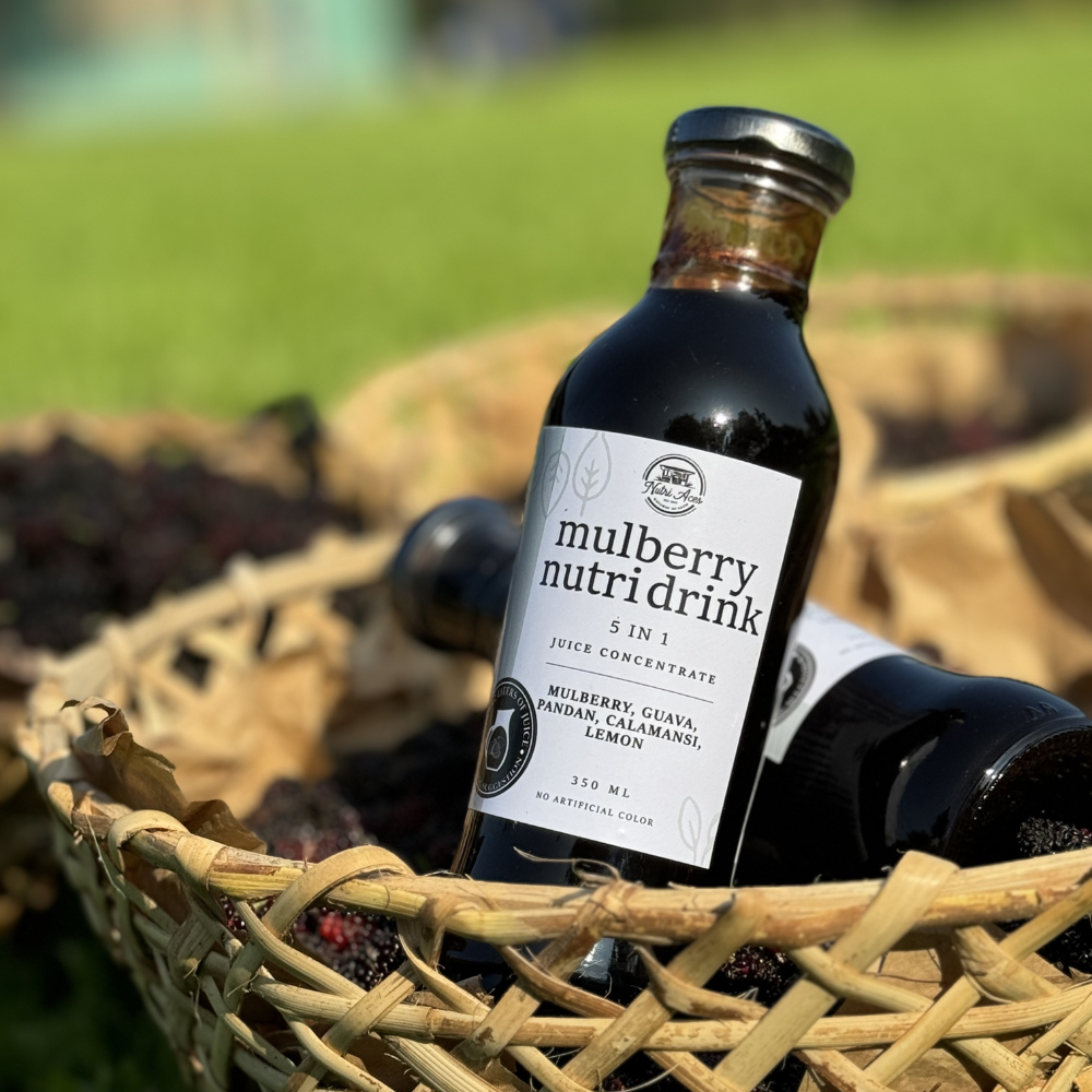 Mulberry Nutri-Drink 5 in 1 Juice Concentrate