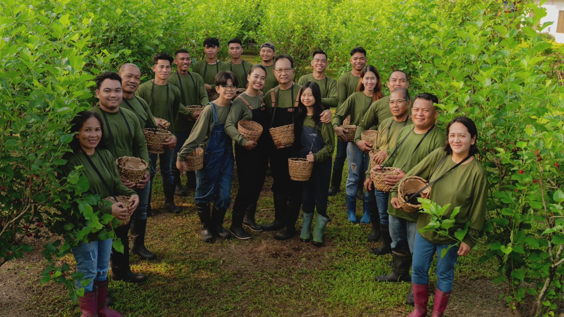 Load video: Mulberry Magic